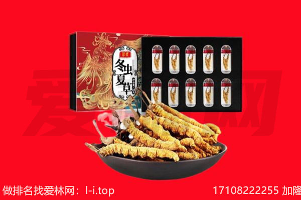 汉源县回收虫草.jpg